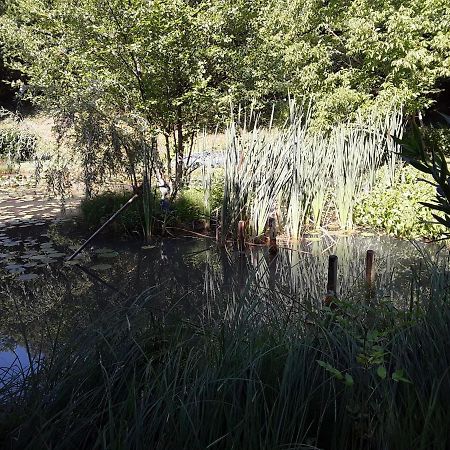 Le Chalet De La Grenouille Verte Tursac Exteriér fotografie